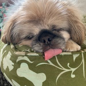 Meet your Posher, Paris